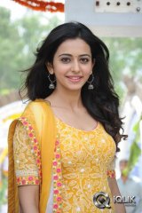Rakul Preet Singh at Pandaga Chesko Movie Opening